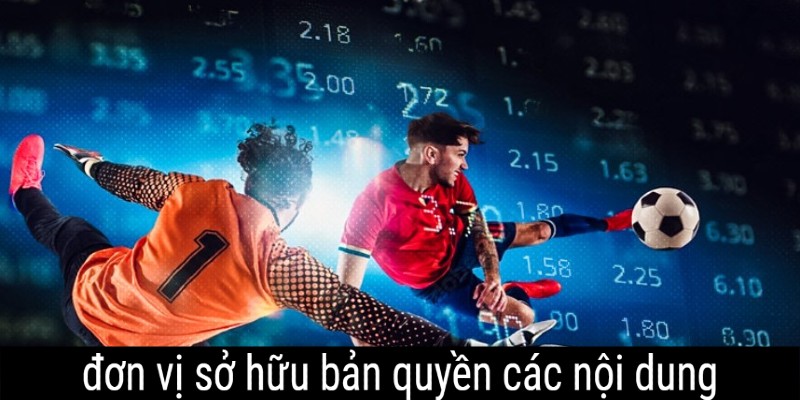 Trang web có quyền sở hữu đối với mọi nội dung đang cung cấp